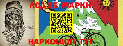 индика Вязники